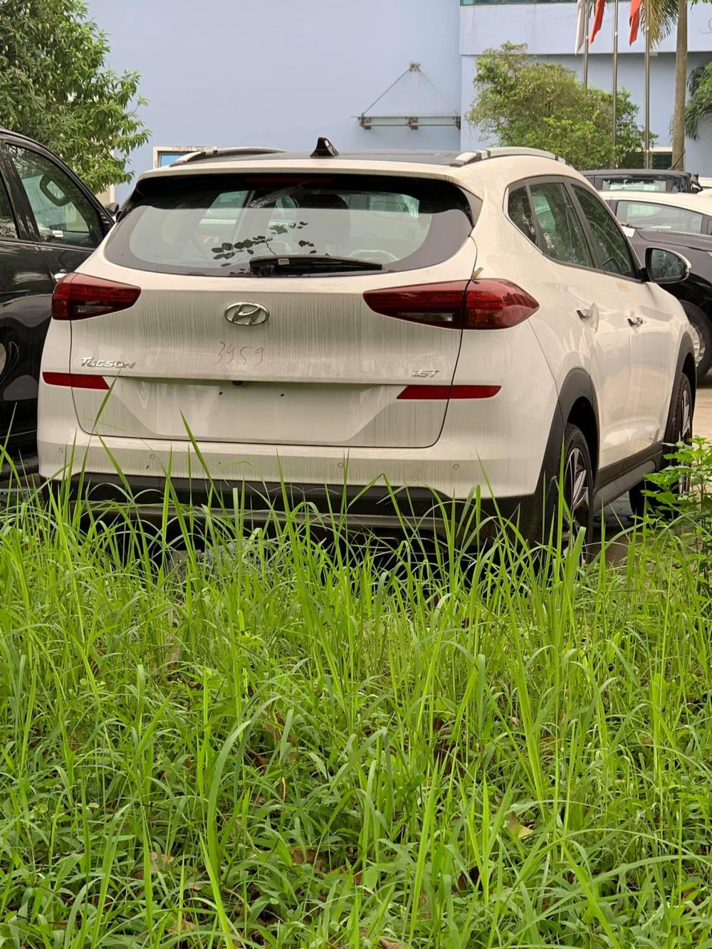 Hyundai Tucson và Elantra 2019 được kiểm định, chuẩn bị tới tay khách hàng Việt 1
