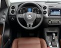 Volkswagen Tiguan   2015 - Bán Volkswagen Tiguan đời 2015, màu đỏ, nhập khẩu