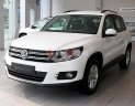 Volkswagen Tiguan   2015 - Bán ô tô Volkswagen Tiguan đời 2015, màu trắng, nhập khẩu chính hãng