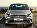 Volkswagen Polo 2016 2015 - Bán Volkswagen Polo 2016 đời 2015, màu nâu, nhập khẩu nguyên chiếc