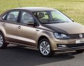 Volkswagen Polo 2015 2015 - Cần bán Volkswagen Polo 2015 đời 2015, màu nâu vàng, nhập khẩu chính hãng, giá chỉ 640 triệu