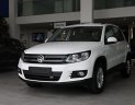 Volkswagen Tiguan 2.0 TSI 2016 - Cần bán xe Volkswagen Tiguan 2.0 TSI đời 2016, màu trắng, nhập khẩu chính hãng