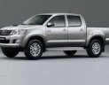Toyota Hilux G 2012 - Bán Toyota Hilux G đời 2012, màu bạc, nhập khẩu