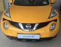 Nissan Juke 2015 - Bán ô tô Nissan Juke đời 2015, liên hệ 9339163442, nhập khẩu, cùng chương trình siêu khuyến mãi về giá