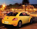 Volkswagen Beetle   2016 - Cần bán Volkswagen Beetle 2016 đời 2016, màu nâu, xe nhập