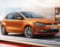 Volkswagen Polo   2016 - Giá bán xe Volkswagen Polo 2016 đời 2016, màu nâu, nhập khẩu nguyên chiếc, giá tốt