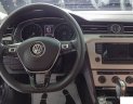 Volkswagen Passat GP 2016 - Volkswagen Đà Nẵng bán xe Passat GP đời 2016, màu nâu, nhập khẩu chính hãng