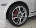 Porsche Carrera GT 2008 - Bán xe Porsche Carrera GT S đời 2008, màu trắng, nhập khẩu nguyên chiếc
