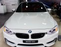 BMW M3 2016 - BMW M3 Sedan phiên bản siêu thể thao, thoải mái đam mê tốc độ