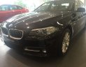 BMW 5 Series 520i 2016 - Cần bán xe BMW 5 Series 520i đời 2016, màu đen, nhập khẩu