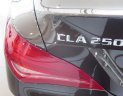 Mercedes-Benz CLA 250 2016 - Mercedes Benz Hà Nội bán xe Mercedes-Benz Cla 250 2016
