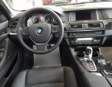 BMW 5 Series 520i Limited Edition 2016 - Bán xe BMW 520i Limited Edition đời 2016, màu đen, xe nhập