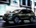 Nissan X trail 2.0L 2017 - Cần bán xe Nissan X Trail 2WD đời 2018, màu xanh, nhập khẩu, khuyến mại tiền mặt và phụ kiện