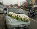 Volkswagen New Beetle 2004 - Cần bán xe Volkswagen New Beetle đời 2004, màu xanh lam, nhập khẩu nguyên chiếc