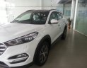 Hyundai Tucson 2.0AT  2016 - Bán ô tô Hyundai Tucson màu bạc,760tr