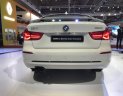 BMW 3 Series 320i GT(Gran Turismo) 2017 - BMW 3 Series 320i GT(Gran Turismo) 2017, màu trắng, nhập khẩu chính hãng