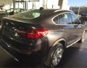 BMW X4 xDrive20i 2017 - Bán xe BMW X4 xDrive20i sản xuất 2017, màu xám (ghi), xe nhập, giá rẻ nhất, giao ngay