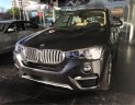 BMW X4 xDrive20i 2017 - Bán xe BMW X4 xDrive20i sản xuất 2017, màu xám (ghi), xe nhập, giá rẻ nhất, giao ngay