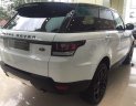 LandRover Range rover Vogue V6 SuperCharged 3.0L 2017 - Bán xe Landrover Range Rover Sport SE - 2017 giá xe 2018 -xe nhập - màu trắng, đen, xanh-màu đồng