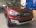 Ford Everest Titanium  2017 - Ford Everest 2.2 Titanium 2017 - Giao ngay liên hệ: 0935.873.186