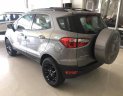 Ford EcoSport Titanium 1.5P AT 2017 - Bán Ford EcoSport Titanium 1.5P AT đời 2017, màu bạc - giá tốt nhất - giao xe tận nhà - hỗ trợ vay 75% giá trị xe