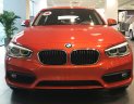 BMW 1 Series 118i 2017 - Bán xe BMW 118i đời 2017, nhập khẩu chính hãng, màu cam, ưu đãi hấp dẫn