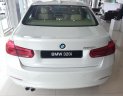 BMW 3 Series 320i 2017 - Bán xe BMW 320i 2017, màu trắng, nhập khẩu chính hãng