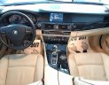 BMW 528i 2010 - Cần bán xe cũ BMW 528i đời 2010, màu đen, nhập khẩu