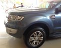 Ford Everest 2.2L 4x2 AT Trend 2017 - Bán Ford Everest 2.2L 4x2 AT Trend, mới 100%, nhập khẩu chính hãng. Hỗ trợ vay vốn 100%, thủ tục đơn giản, nhanh chóng