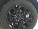 Ford EcoSport Titanium 1.5P AT 2017 - Bán Ford EcoSport 1.5L Titanium - Giá cạnh tranh - Kèm nhiều quà tặng phụ kiện hấp dẫn