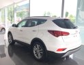 Hyundai Santa Fe 2.4AT -2WD 2017 - Cần bán xe Hyundai Santa Fe năm 2018- máy xăng, 1 cầu, màu trắng, mới 100%, giá 898 triệu- LH: 0919293562