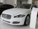 Jaguar XJ series 3.0   2016 - Bán xe Jaguar XJ series 3.0 sản xuất 2016, màu trắng, xe nhập