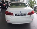BMW 5 Series 520i 2016 - BMW Đà Nẵng bán xe BMW 5 Series 520i sản xuất 2016, màu trắng, nhập khẩu nguyên chiếc