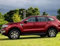 Ford Everest Trend  2016 - Cần bán Ford Everest Trend đời 2016, hỗ trợ vay ngân hàng 90%