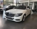 Mercedes-Benz S class S500L 2016 - Bán ô tô Mercedes S500L đời 2017, màu trắng số tự động