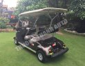 Hãng khác Xe du lịch 2011 - Bán xe điện sân Golf Yamaha 4 chỗ