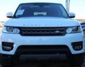 LandRover Range rover Sport 2017 - Bán xe LandRover Range Rover Sport SE 2017 - giá 2018  màu trắng, xanh, đỏ, đen. Gọi 0918842662