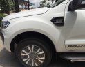 Ford Ranger Wildtrak 2.2 4X4 2017 - Bán Ford Ranger Wildtrak 2.2 4x4, màu trắng, nhập khẩu