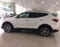 Hyundai Santa Fe 2.2L  2017 - Cần bán Hyundai Santa Fe 2.2L máy dầu sản xuất 2017, màu trắng, giá tốt nhất miền Nam