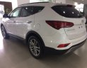 Hyundai Santa Fe 2.2L  2017 - Cần bán Hyundai Santa Fe 2.2L máy dầu sản xuất 2017, màu trắng, giá tốt nhất miền Nam