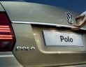 Volkswagen Polo   2017 - Bán ô tô Volkswagen Polo đặc biệt nhập khẩu nguyên chiếc đời 2017, màu xanh lam, nhập khẩu, giá chỉ 690 triệu