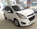 Chevrolet Spark 1.2 LS 2017 - Bán xe Spark 1.2 LS - Ưu đãi đặc biệt về giá chiến khẩu cho khách hàng Đồng Nai - Ưu đãi cao nhất, giá còn thương lượng