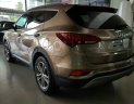 Hyundai Santa Fe 2016 - Bán Hyundai Santa Fe màu nâu, có sẵn