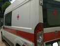 Hãng khác Xe du lịch 2008 - Cần bán xe cứu thương Fiat Ducato đời 2008, màu trắng, xe nhập, giá chỉ 230 triệu