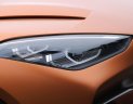 BMW Z4 2017 - Bán xe BMW Z4 đời 2017, màu nâu, xe nhập