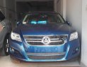Volkswagen Tiguan 2.0 AT 2008 - Cần bán Volkswagen Tiguan 2.0 AT đời 2008, màu xanh lam, nhập khẩu