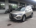 Hyundai Santa Fe AT 2018 - Bán Hyundai Santa Fe AT đời 2018, màu be