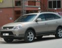 Hyundai Veracruz 2007 - Cần bán xe Hyundai Veracruz đời 2007, nhập khẩu, giá 600tr