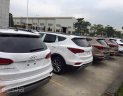 Hyundai Santa Fe 2.2 AT 4WD 2017 - Bán ô tô Hyundai Santa Fe giá tốt - Đại lý chính hãng Hyundai Thành Công, gọi Mr Tiến 0981.881.622
