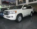 Toyota Land Cruiser 5.7 VX 2017 - Cần bán Toyota Land Cruiser 5.7 VX năm 2017, màu trắng, xe nhập